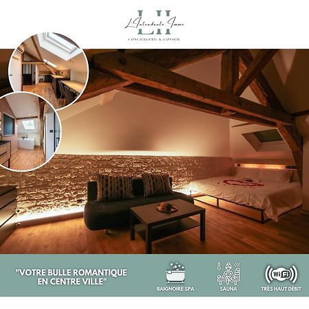 Evasion Chic, Spa Et Sauna Sous Les Toits Nancy Buitenkant foto