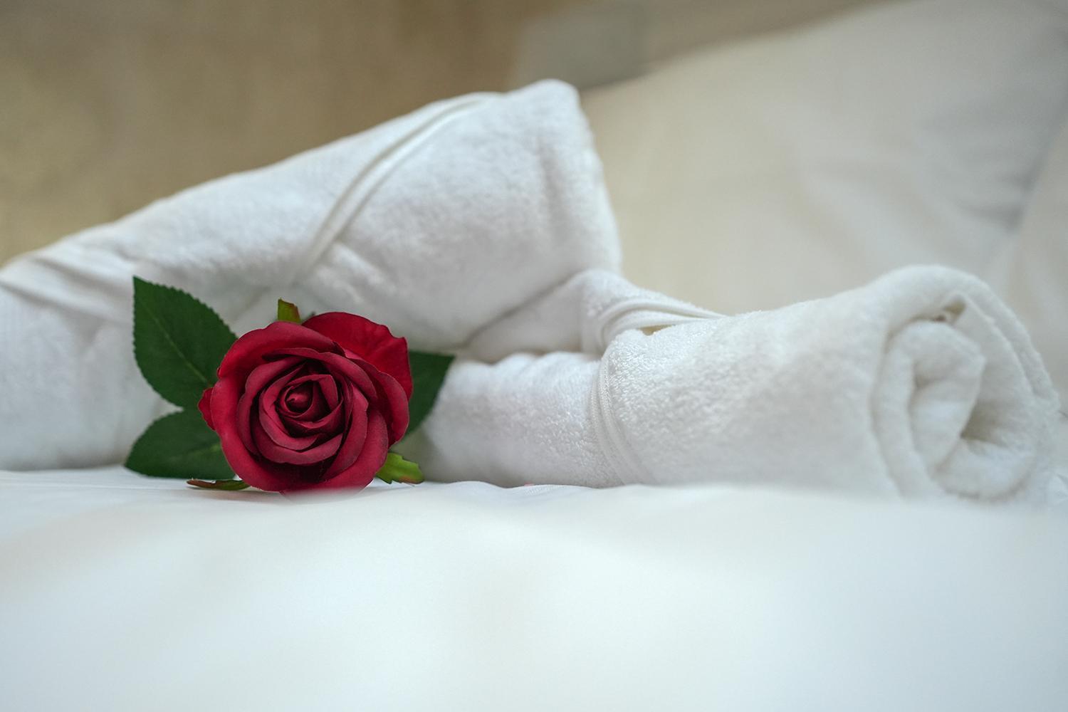 Evasion Chic, Spa Et Sauna Sous Les Toits Nancy Buitenkant foto
